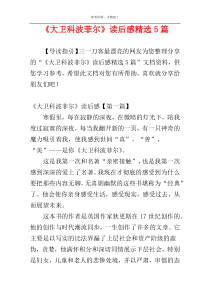 《大卫科波菲尔》读后感精选5篇