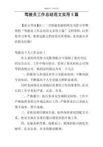 驾驶员工作总结范文实用5篇