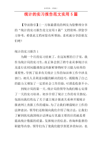 统计的实习报告范文实用5篇