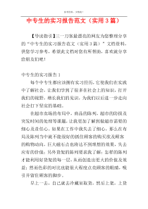 中专生的实习报告范文（实用3篇）