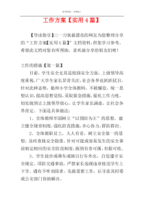 工作方案【实用4篇】