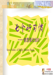 七个好习惯-HR猫猫