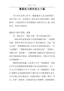 暑假实习报告范文5篇