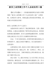 新员工试用期工作个人总结实用3篇