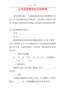 公司试用期劳动合同样例