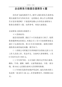 企业财务大检查自查报告4篇