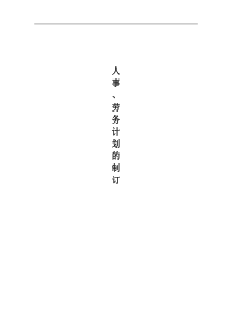 人事、劳务计划的制定