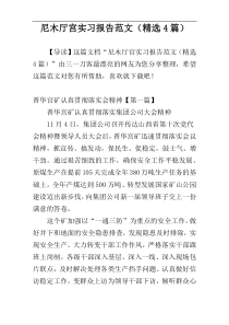 尼木厅宫实习报告范文（精选4篇）