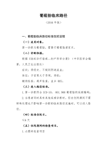 293葡萄胎临床路径