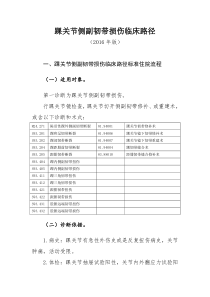 331踝关节侧副韧带损伤临床路径