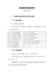 337肩袖损伤临床路径