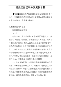 民族团结活动方案案例5篇