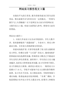 网站实习报告范文3篇