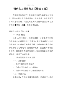 调研实习报告范文【精编4篇】