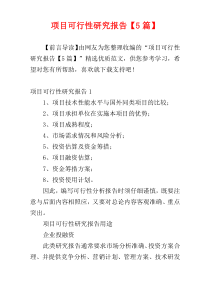 项目可行性研究报告【5篇】