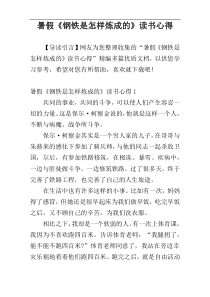 暑假《钢铁是怎样炼成的》读书心得