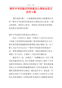 铸牢中华民族共同体意识心得体会范文实用4篇