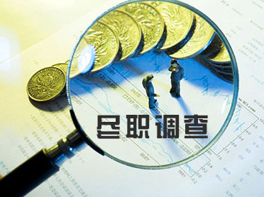 尽职调查